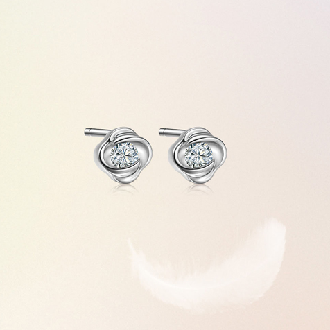 請?zhí)顚憳?biāo)題