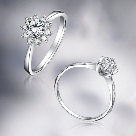 請?zhí)顚憳?biāo)題