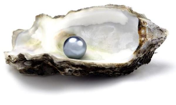 6362399551594571455955631.png 6362399551594571455955631.png